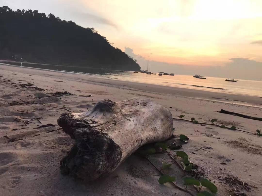 Juara Bay Resort 티오만섬 외부 사진